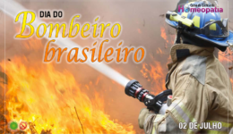 SITE_DIA_DO_BOMBEIRO_BRASILEIRO_CH