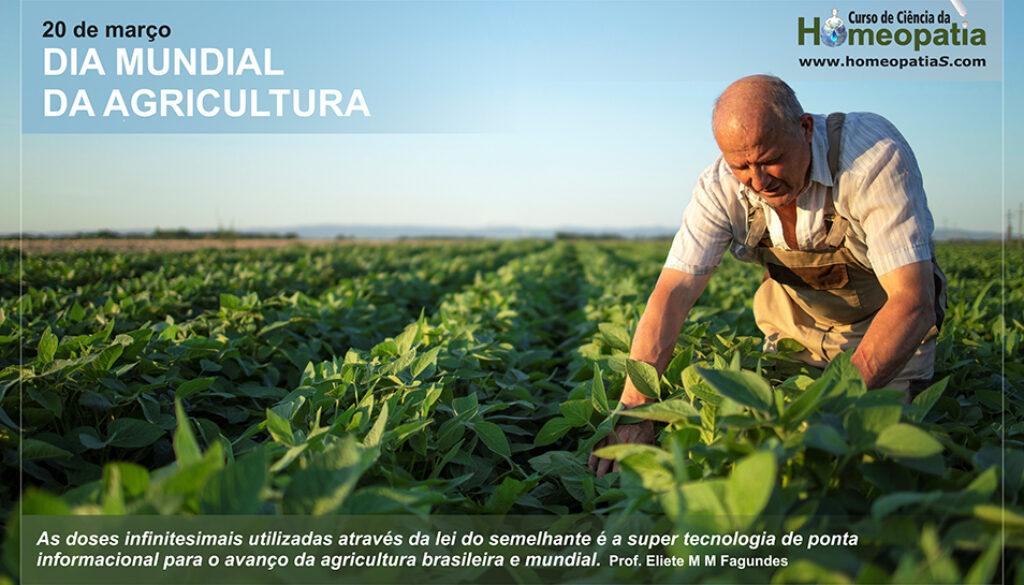 SITE_DIA DO DIA MUNDIAL DA AGRICULTURA - IBH.cdr