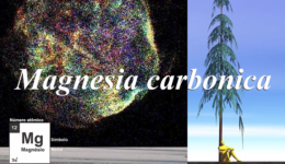 Magnesia carbonica-1