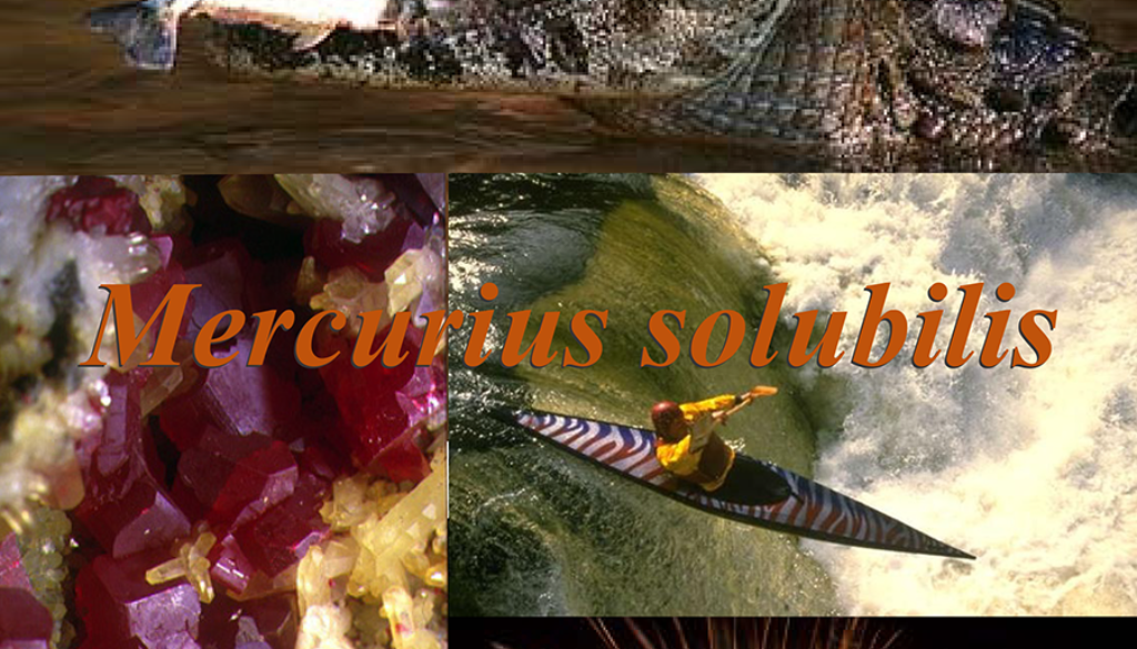 Mercurius solubilis-1