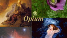 Opium-1
