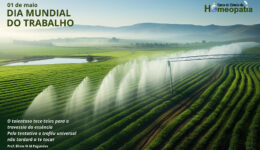 SITE_DIA MUNDIAL DO TRABALHO - IBH.cdr