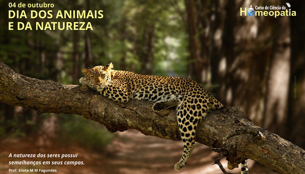 SITE_DIA DOS ANIMAIS E DA NATUREZA - IBH.cdr