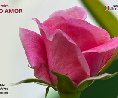 SITE_DIA DO AMOR - IBH.cdr