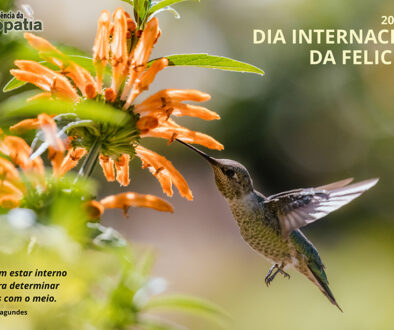 SITE_DIA INTERNACIONAL DA FELICIDADE - IBH.cdr