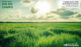 SITE_DIA DO CAMPO - IBH.cdr