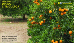 SITE_DIA DO CITRICULTOR - IBH.cdr