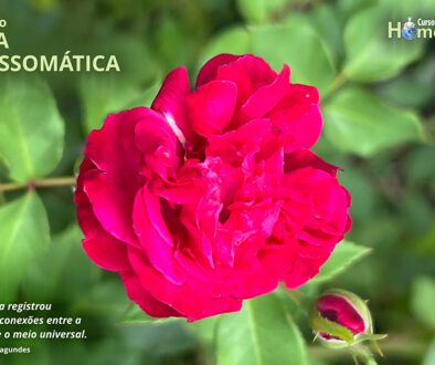 SITE_DIA DA PSICOSSOMÁTICA - IBH.cdr