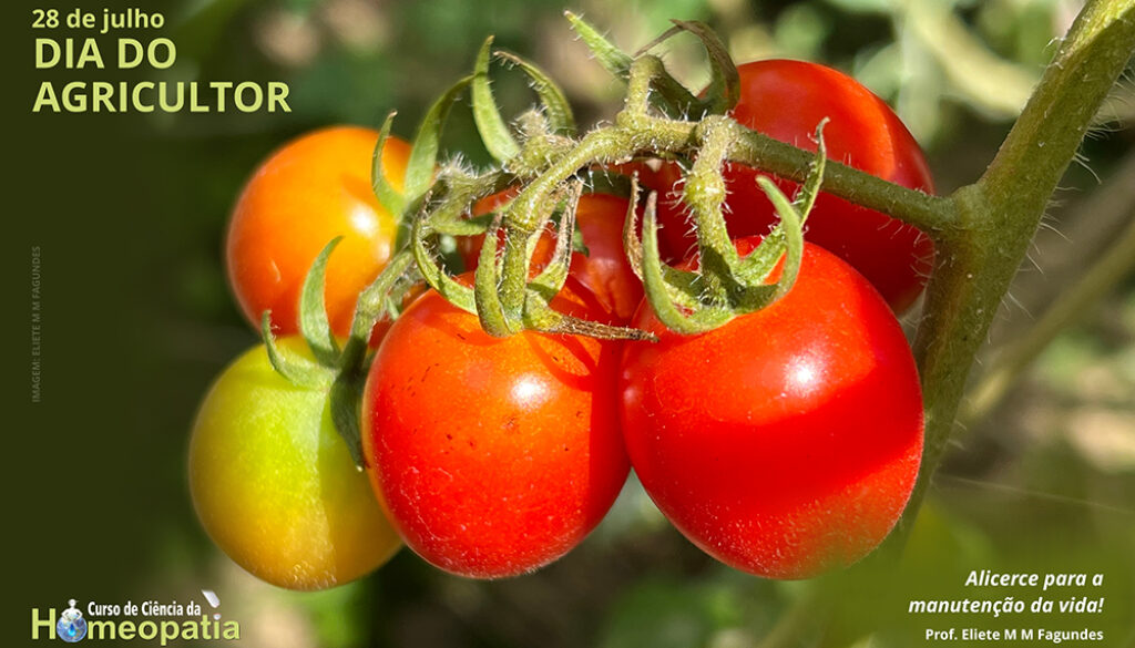SITE_DIA DO AGRICULTOR - IBH.cdr