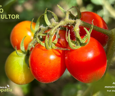 SITE_DIA DO AGRICULTOR - IBH.cdr