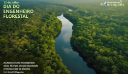 SITE_DIA DO ENGENHEIRO FLORESTAL - IBH.cdr