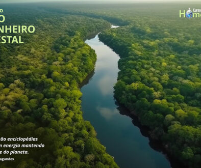 SITE_DIA DO ENGENHEIRO FLORESTAL - IBH.cdr