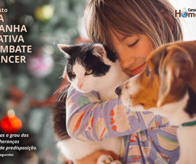 SITE_DIA DA CAMPANHA EDUCATIVA COMBATE CÂNCER - IBH.cdr