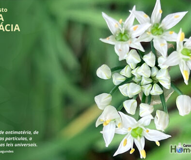 SITE_DIA DA FARMÁCIA - IBH.cdr