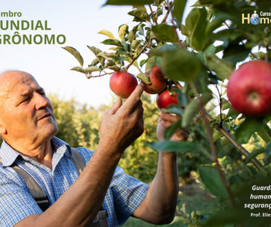 SITE_DIA MUNDIAL DO AGRÔNOMO - IBH.cdr