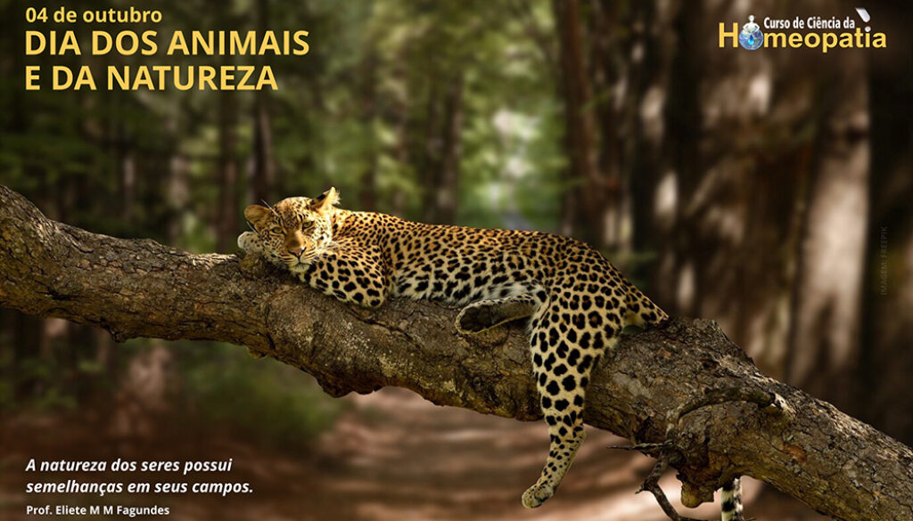SITE_DIA DOS ANIMAIS E DA NATUREZA - IBH.cdr