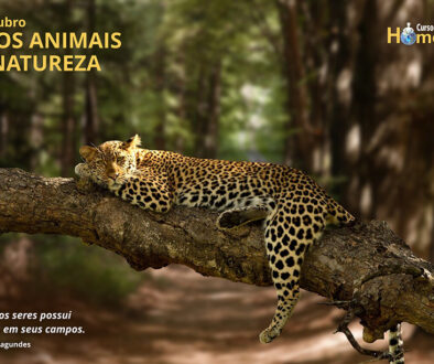 SITE_DIA DOS ANIMAIS E DA NATUREZA - IBH.cdr