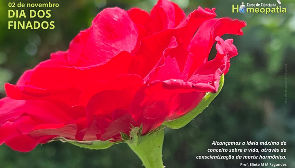 SITE_DIA DOS FINADOS - IBH.cdr