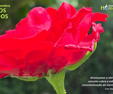 SITE_DIA DOS FINADOS - IBH.cdr