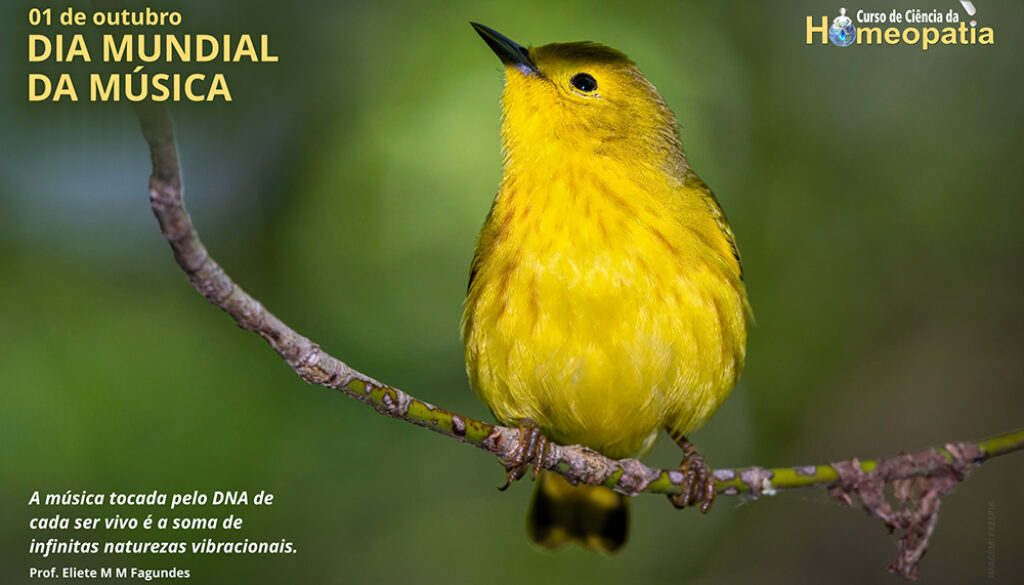 SITE_DIA MUNDIAL DA MÚSICA - IBH.cdr