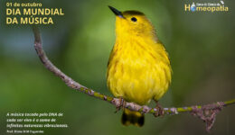SITE_DIA MUNDIAL DA MÚSICA - IBH.cdr