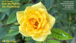 SITE_DIA MUNDIAL DA PSORÍASE - IBH.cdr