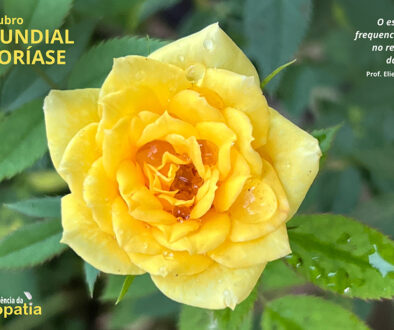 SITE_DIA MUNDIAL DA PSORÍASE - IBH.cdr