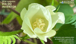 SITE_DIA DO INVENTOR - IBH.cdr