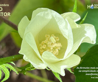 SITE_DIA DO INVENTOR - IBH.cdr