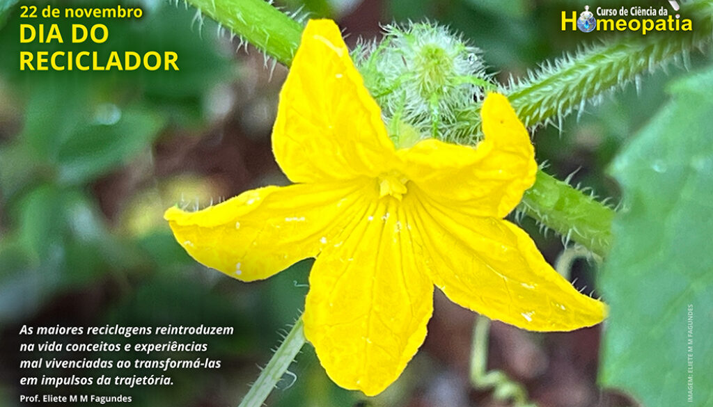 SITE_DIA DO RECICLADOR - IBH.cdr