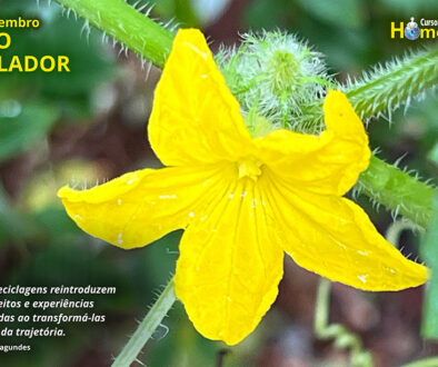 SITE_DIA DO RECICLADOR - IBH.cdr