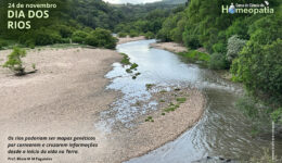 SITE_DIA DOS RIOS - IBH.cdr