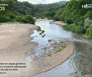 SITE_DIA DOS RIOS - IBH.cdr