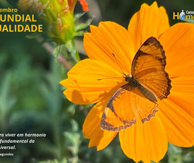 SITE_DIA MUDIAL DA QUALIDADE - IBH.cdr