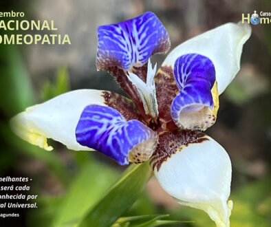 SITE_DIA NACIONAL DA HOMEOPATIA - IBH.cdr