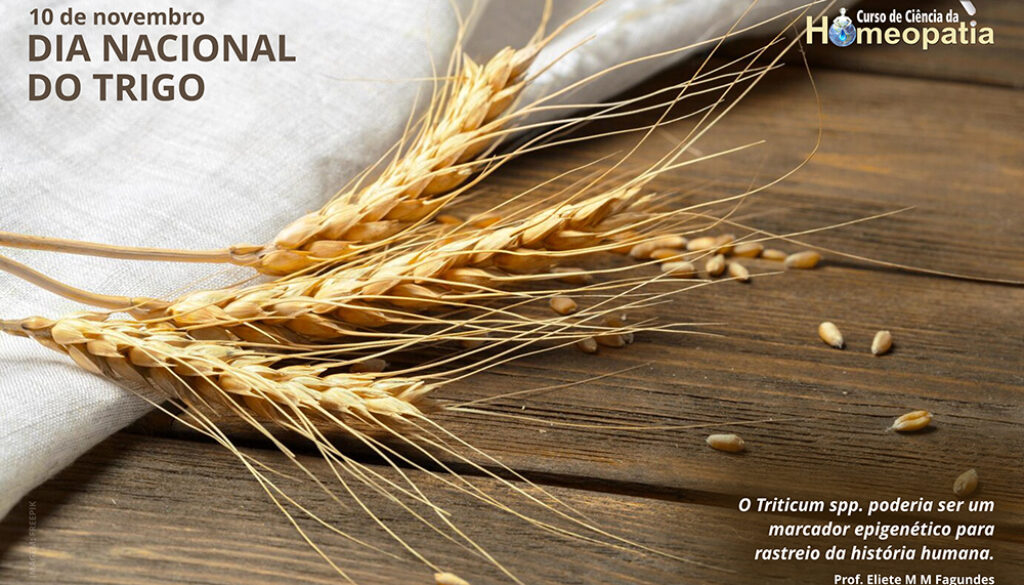 SITE_DIA NACIONAL DO TRIGO - IBH.cdr