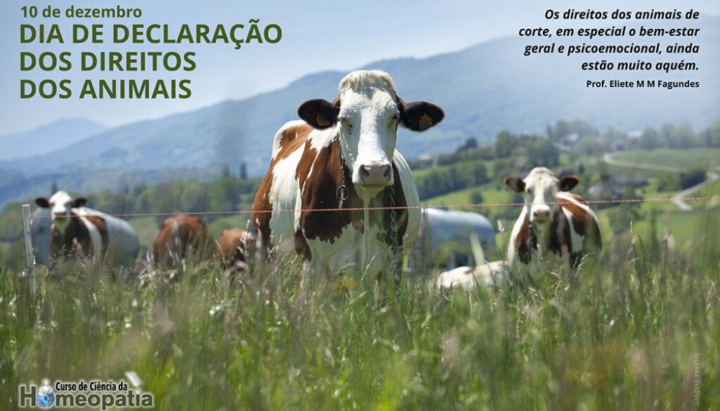 SITE_DIA DA DECLARAÇÃO DOS DIREITOS DOS ANIMAIS - IBH.cdr