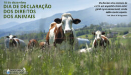 SITE_DIA DA DECLARAÇÃO DOS DIREITOS DOS ANIMAIS - IBH.cdr