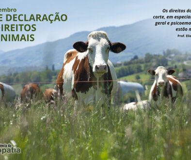SITE_DIA DA DECLARAÇÃO DOS DIREITOS DOS ANIMAIS - IBH.cdr