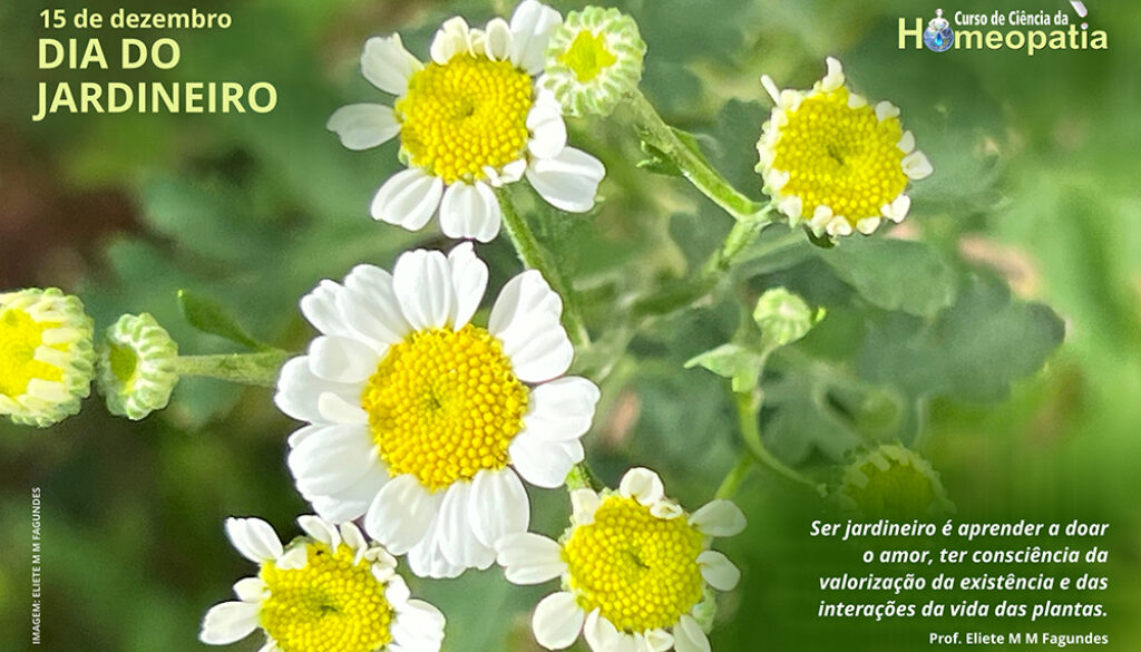 SITE_DIA DO JARDINEIRO - IBH.cdr