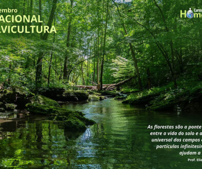 SITE_DIA NACIONAL DA SILVICULTURA - IBH.cdr