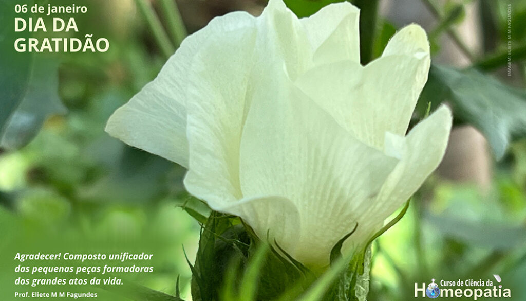 SITE_DIA DA GRATIDÃO - IBH.cdr