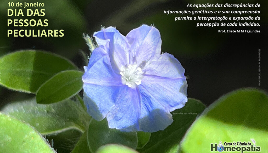 SITE_DIA DAS PESSOAS PECULIARES - IBH.cdr