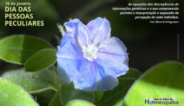 SITE_DIA DAS PESSOAS PECULIARES - IBH.cdr