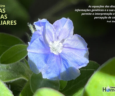 SITE_DIA DAS PESSOAS PECULIARES - IBH.cdr