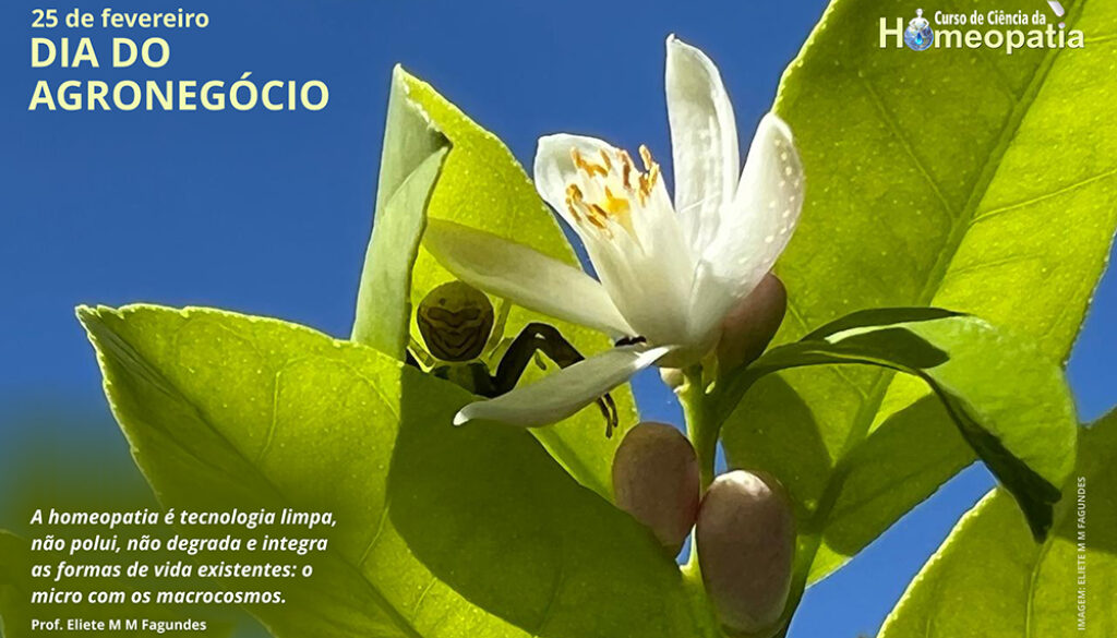 SITE_DIA DO AGRONEGÓCIO - IBH.cdr