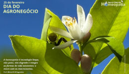 SITE_DIA DO AGRONEGÓCIO - IBH.cdr