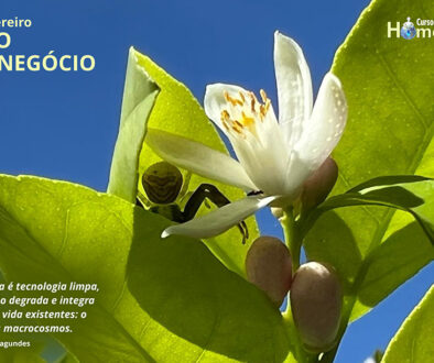 SITE_DIA DO AGRONEGÓCIO - IBH.cdr