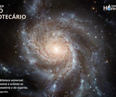 SITE_DIA DO BIBLIOTECÁRIO - IBH.cdr