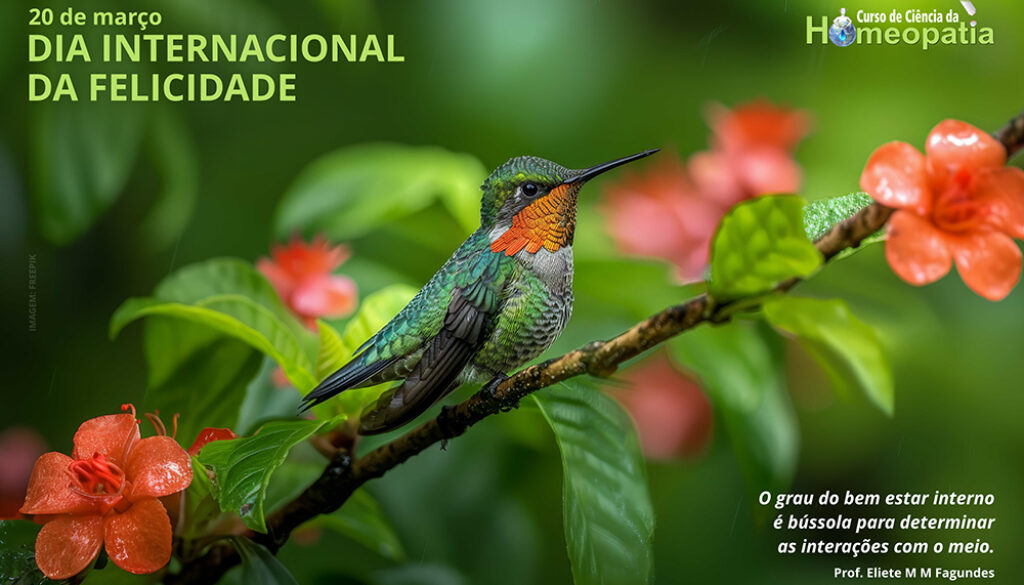 SITE_DIA INTERNACIONAL DA FELICIDADE - IBH.cdr